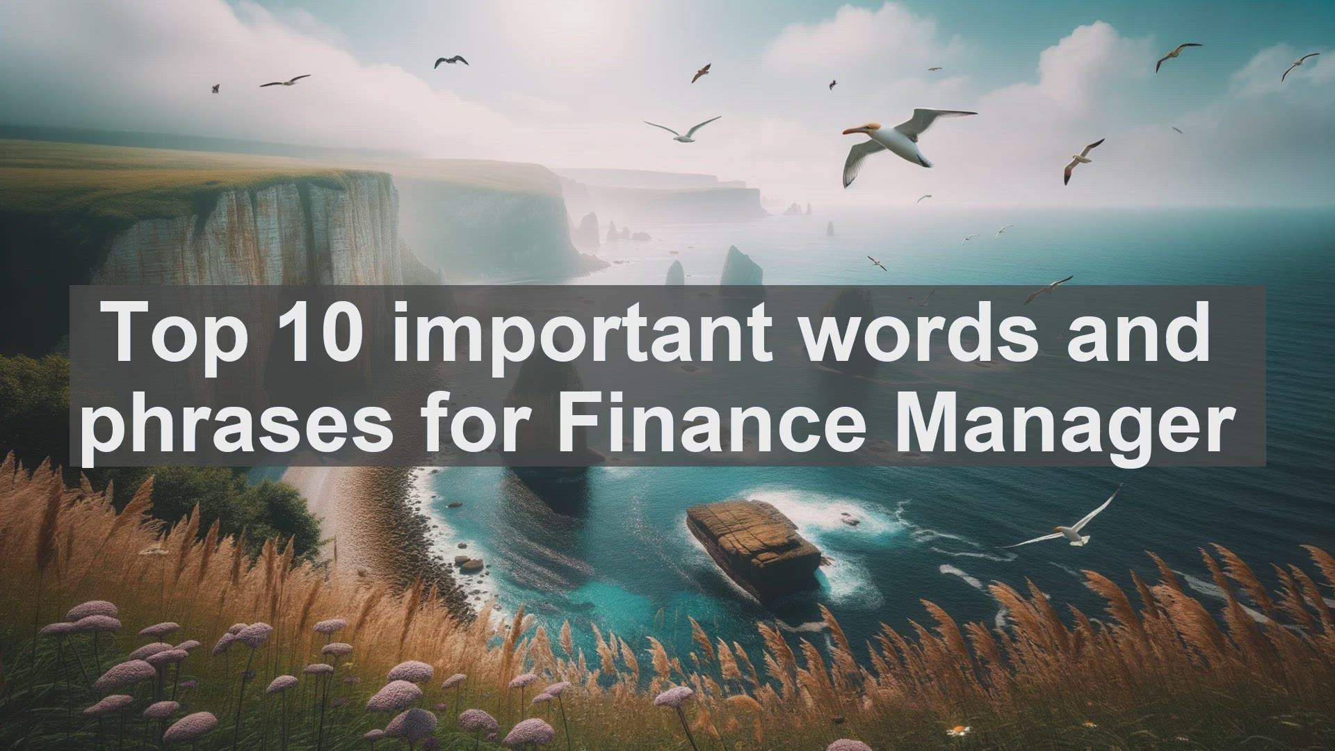 'Video thumbnail for Top 10 important words and phrases for Finance Manager'