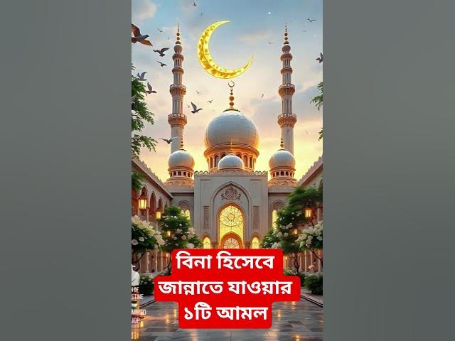 Video thumbnail for বিনা হিসেবে জান্নাতে যাওয়ার ১টি আমল#shorts #viral#sheikh_ahmadullah#islamicalortips