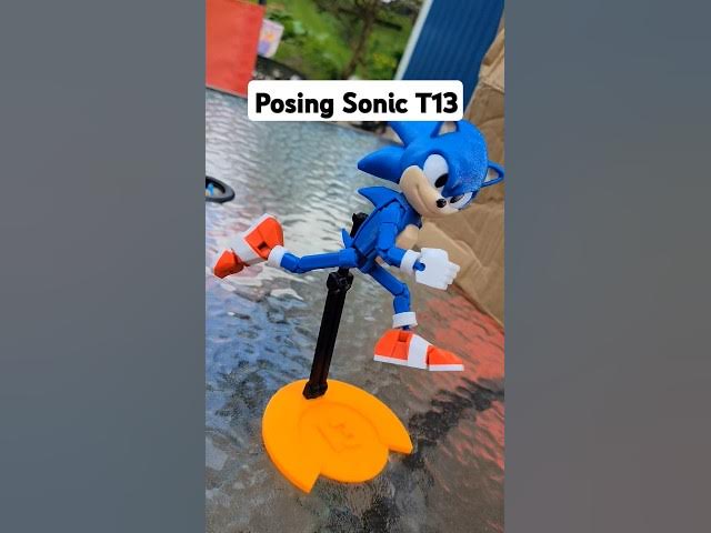 Video thumbnail for Sonic T13 Posing For The Camera!