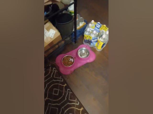 Video thumbnail for she think so I get to eat it now lmao to funnnnny!