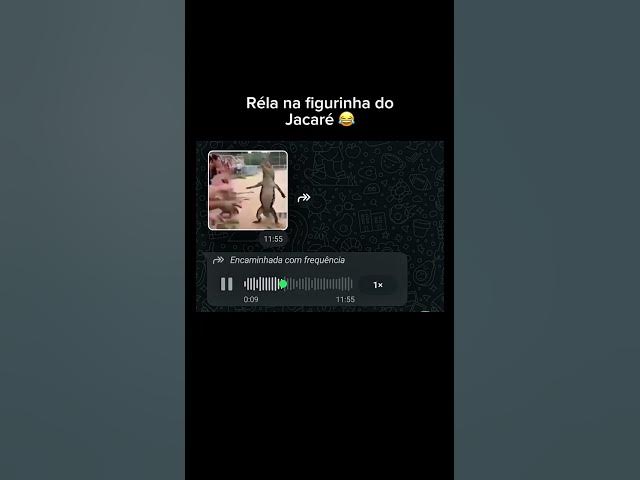 Video thumbnail for se liga na figurinha #videosengracados #videoshort #memes