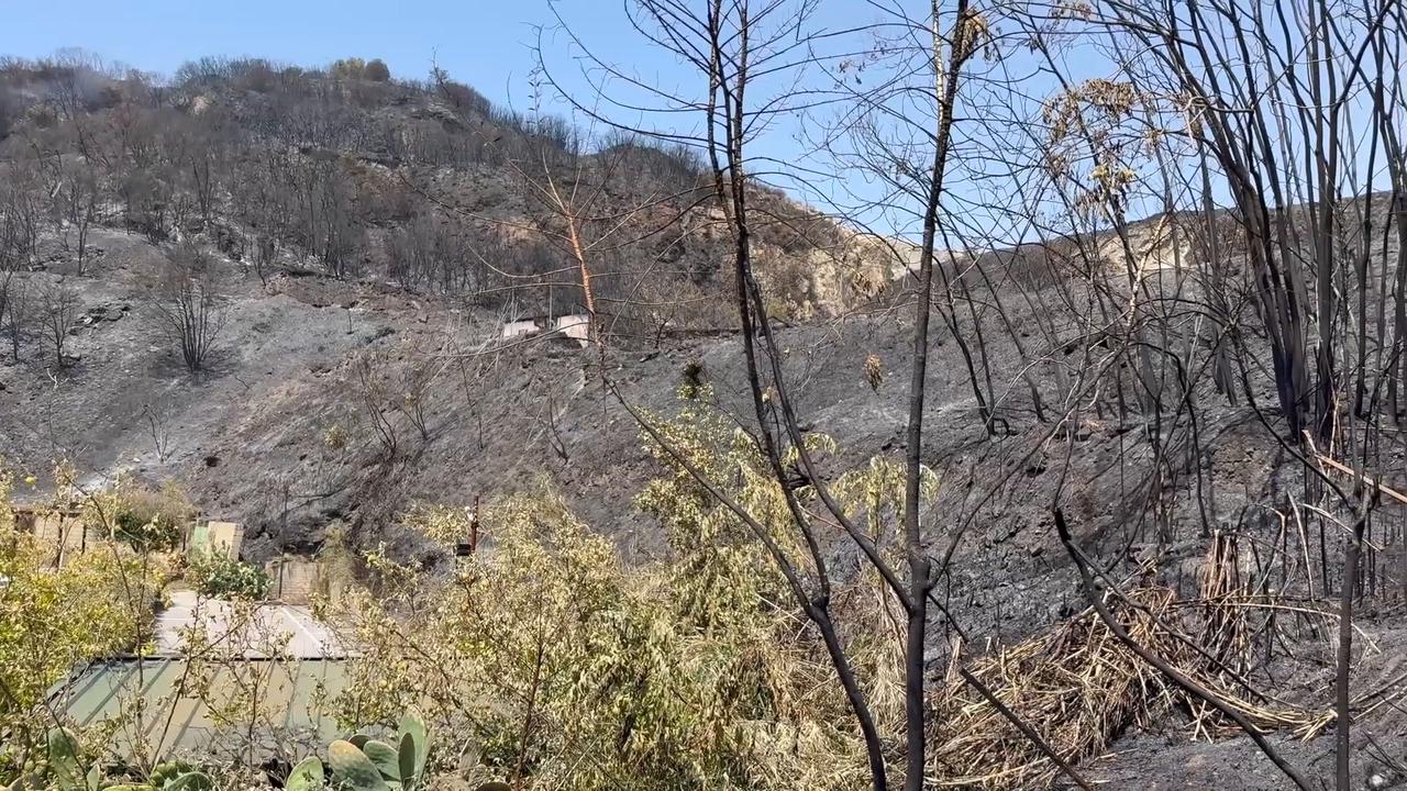 Video thumbnail for Italy: Wildfire leaves destruction in Italy's Campi Flegrei volcanic region.