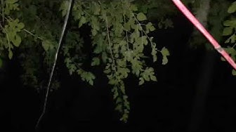 Video thumbnail for jinnat ki Basti jinnat ny Ghar main Tabahi Macha di with Rao Shamas Ali #Ep632