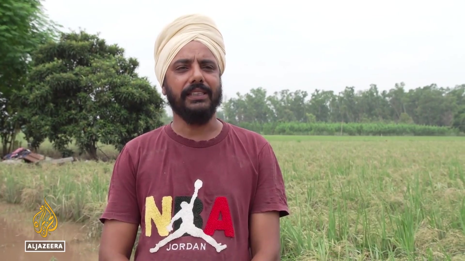 'Video thumbnail for Severe flooding in Punjab destroys rice crops worth billions, rescue efforts underway'