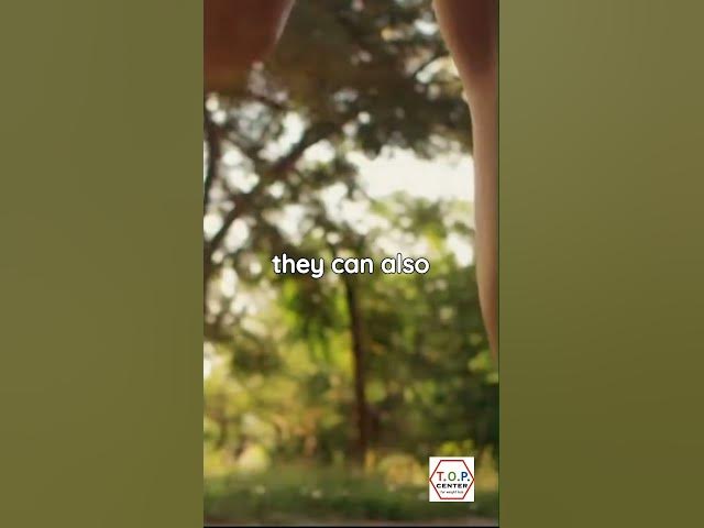 Video thumbnail for Active Lifestyle 2