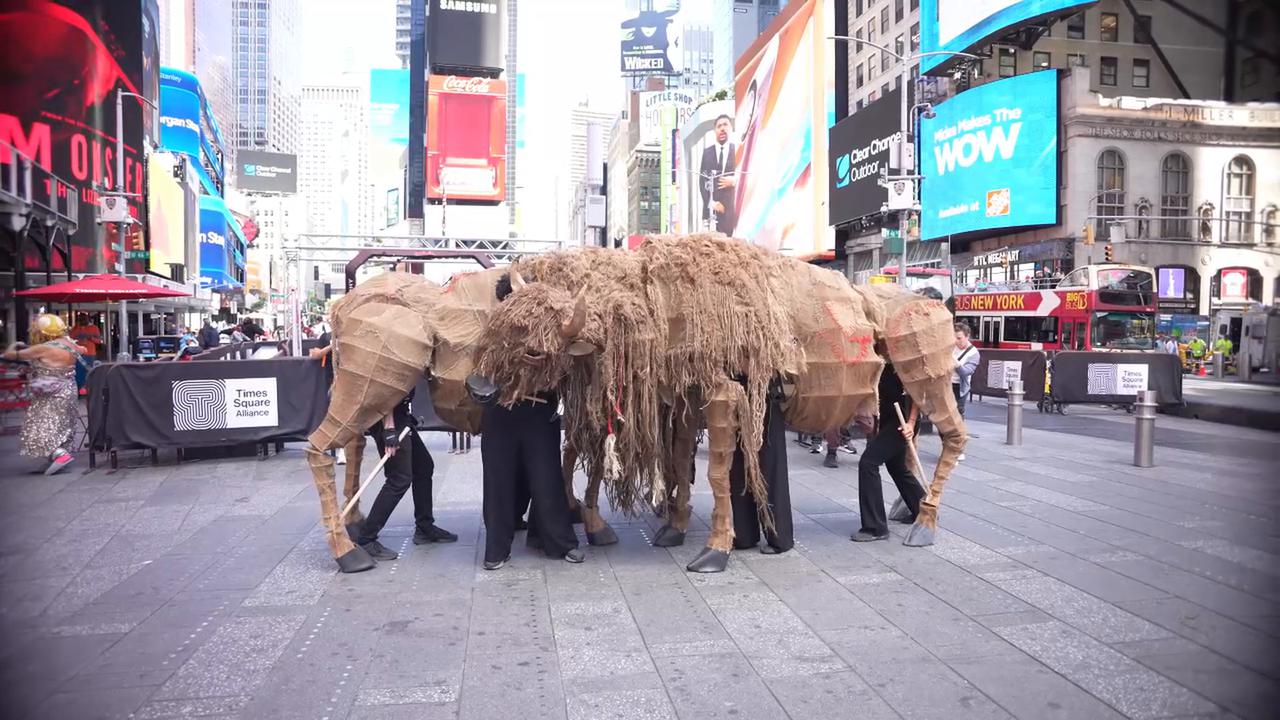 Video thumbnail for Media preview for Return of the Buffalo: Tatanka Owe Akupi.