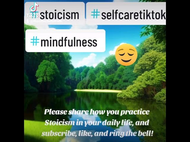 Video thumbnail for Daily Stoic Inspiration #stoic #stoicpractices  #stoicism #depression