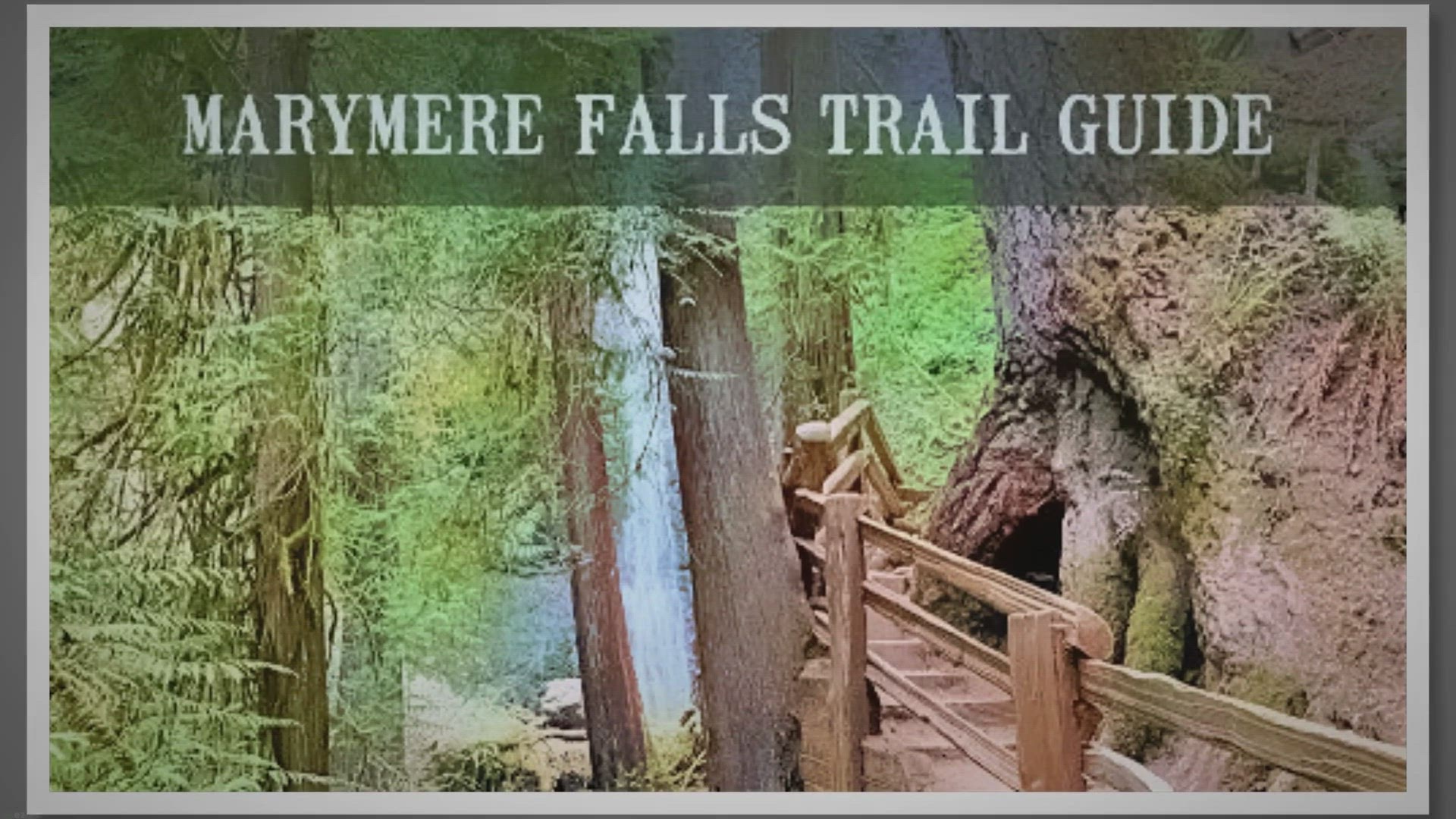 'Video thumbnail for Marymere Falls Trail Guide'