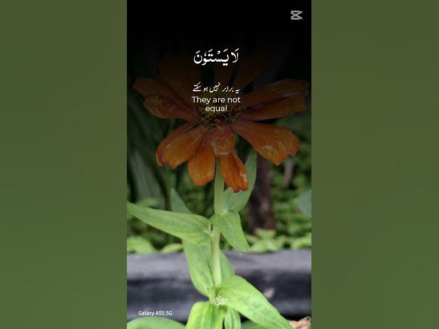 Video thumbnail for Quran so beautiful #subscribe