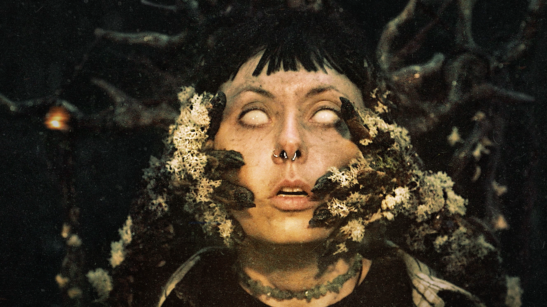 Video thumbnail for Heart of the Forest - Official Launch Trailer