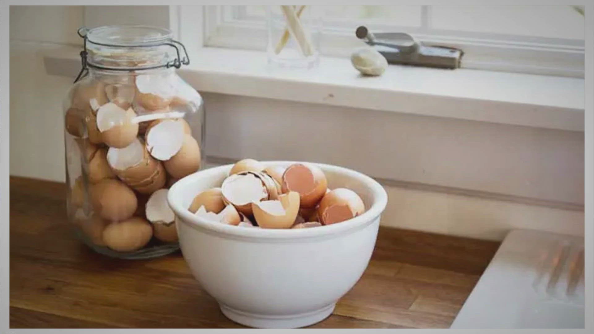 Video thumbnail for Comment Utiliser les Coquilles d'Oeuf au Jardin - Jardin