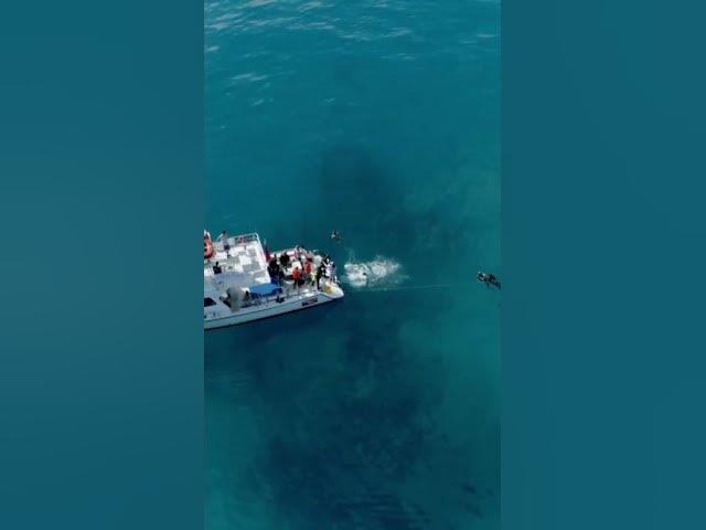 Video thumbnail for Titan_Submersible_Tragedy_Unveiled #facts #scottymccreery