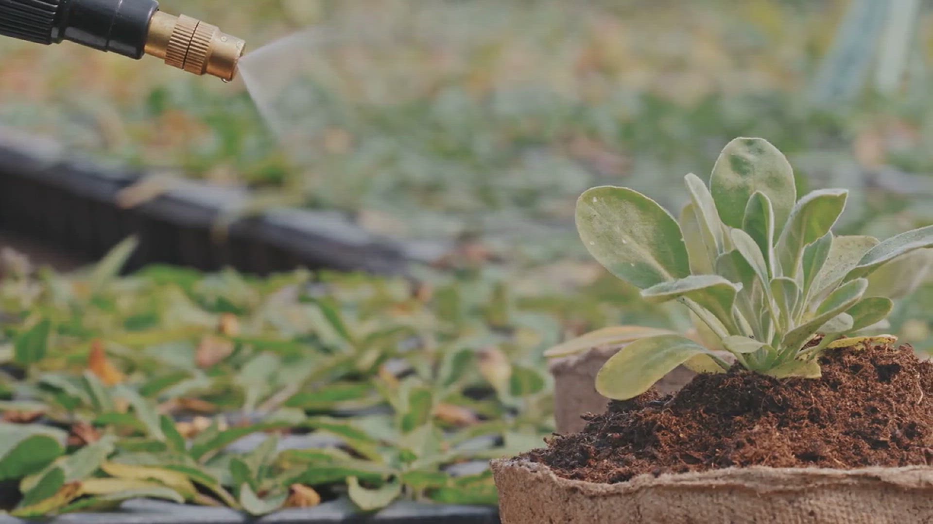 'Video thumbnail for Essential Gardeners Supplies You Need for Your Garden'