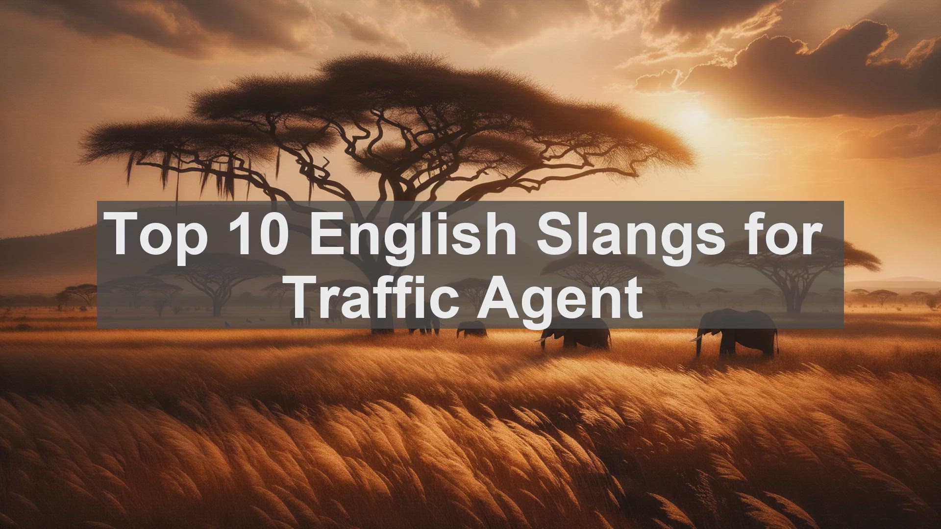 'Video thumbnail for Top 10 English Slangs for Traffic Agent'