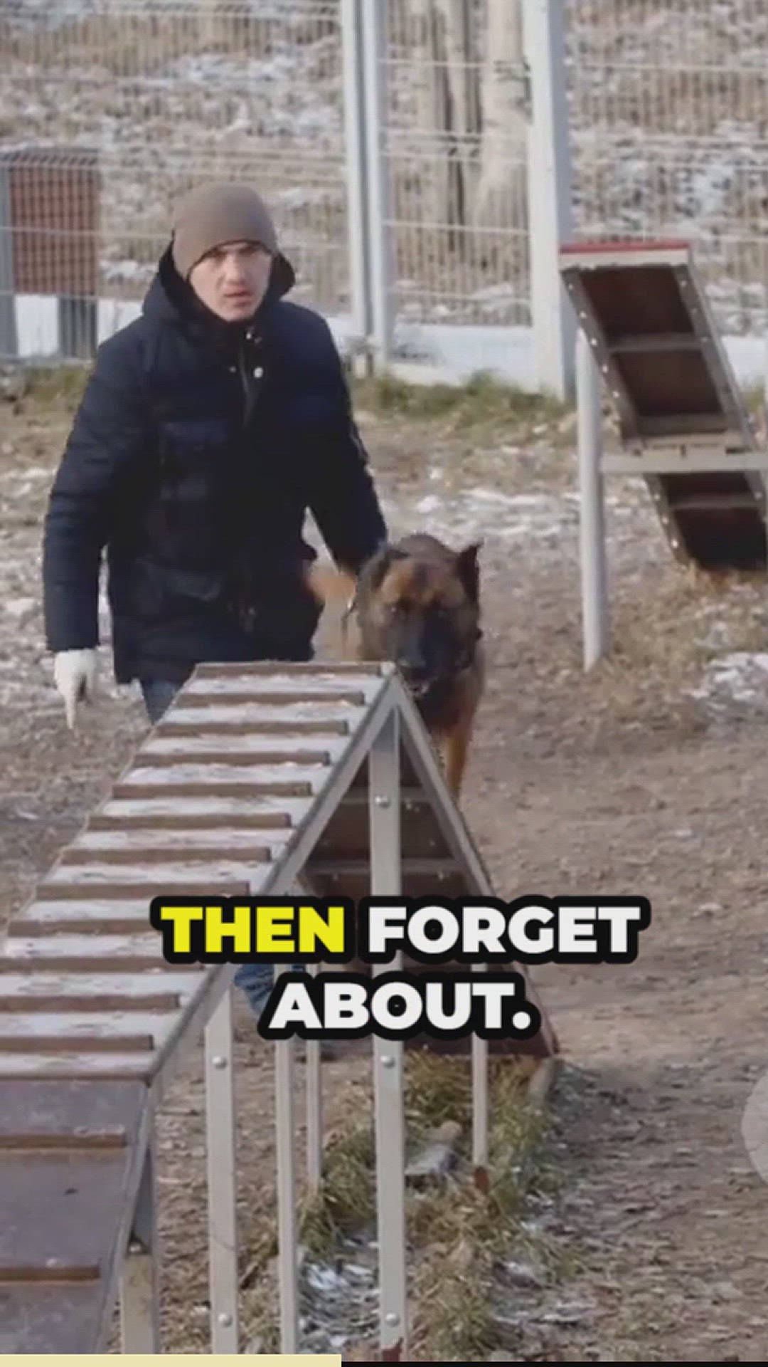 'Video thumbnail for german shepherds training and socialization'
