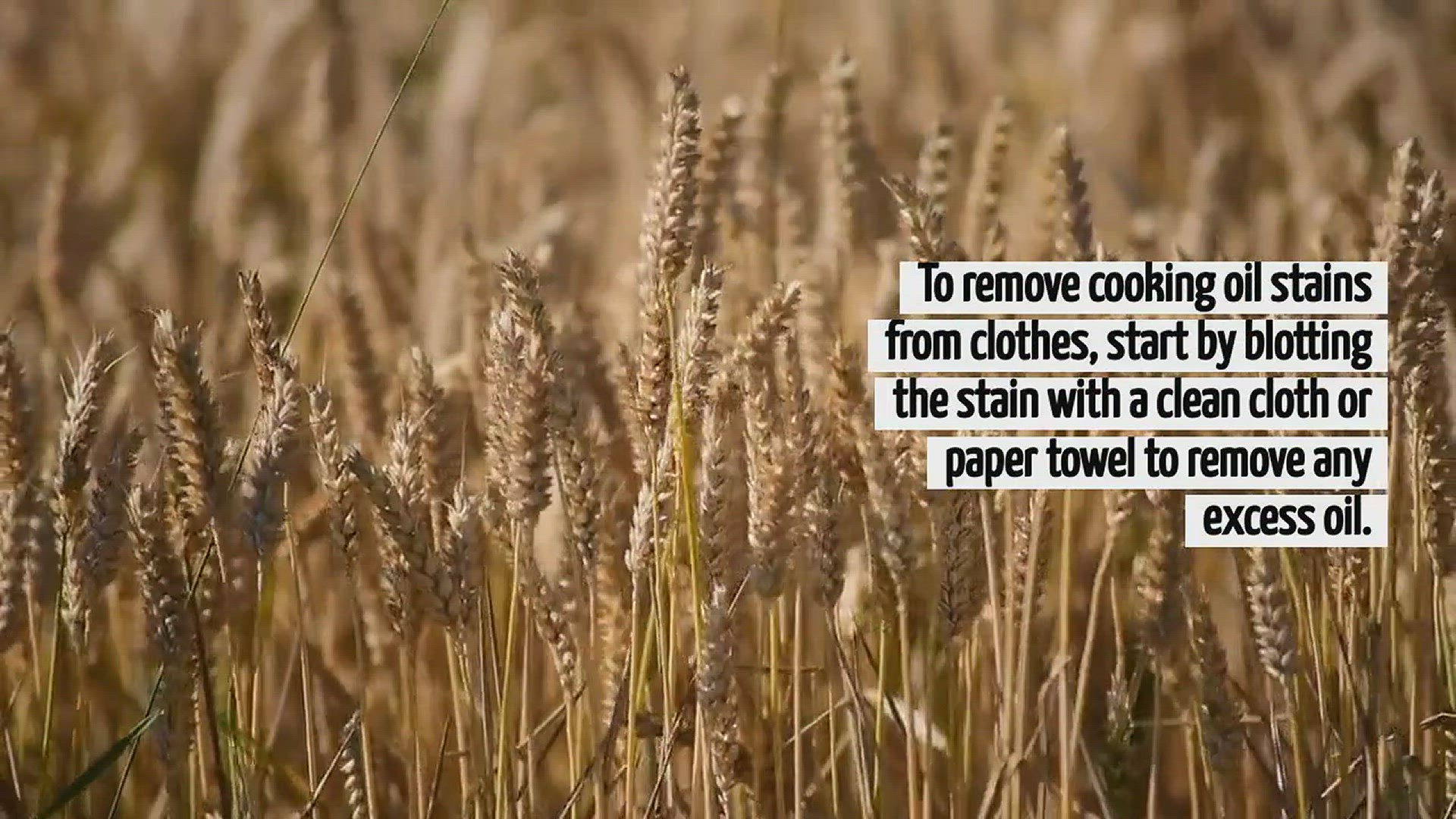 Video thumbnail for How To Remove Cooking Oil Stains From Clothes