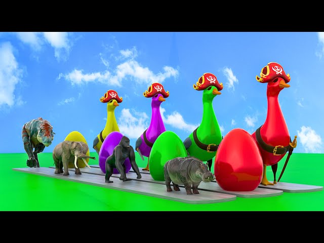 Video thumbnail for Paint Animals Duck Tiger  Cow Lion Buffalo Gorilla Elephant Dinosaur Fountain Crossing Animal Game