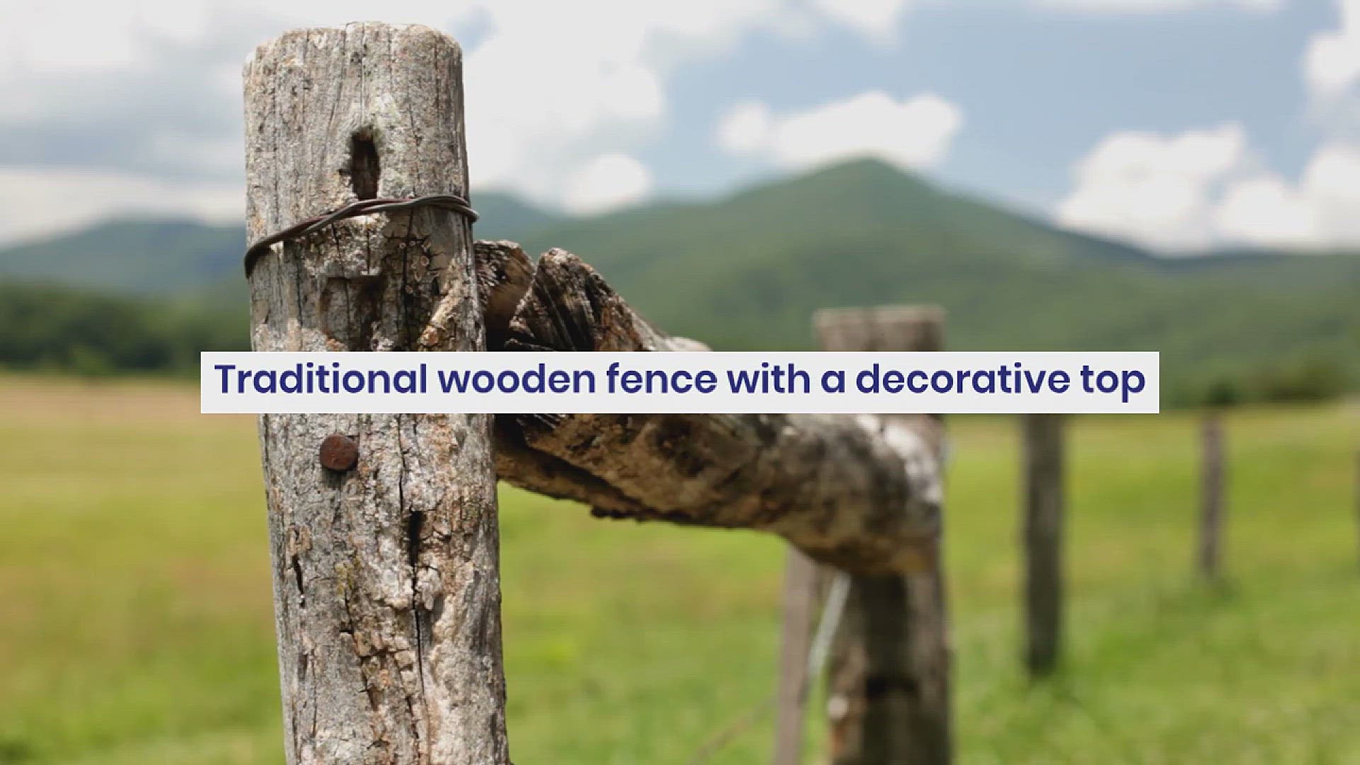 'Video thumbnail for Creative Dog Fence Ideas'
