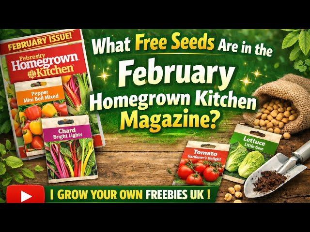 Video thumbnail for 🎥 ✅ 🌿 What Free Seeds Are in the February Homegrown Kitchen Magazine 📰 | Grow Your Own Freebies UK