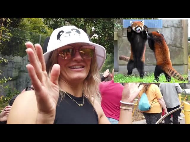 Video thumbnail for Zoo vlog San Diego