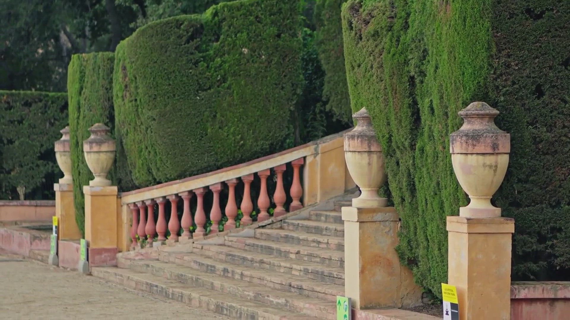 'Video thumbnail for Arborvitae Plant Landscape Designs'