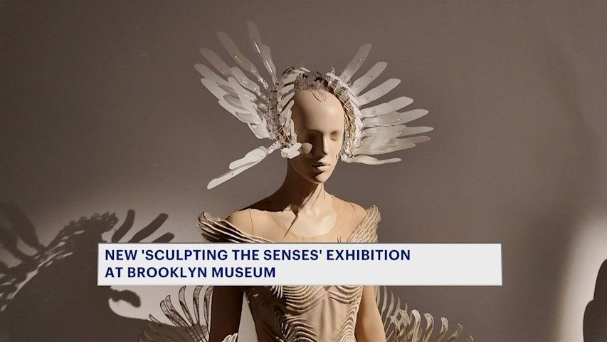 Video thumbnail for New 'Sculpting the Senses' exhibition makes North American debut at Brooklyn Museum