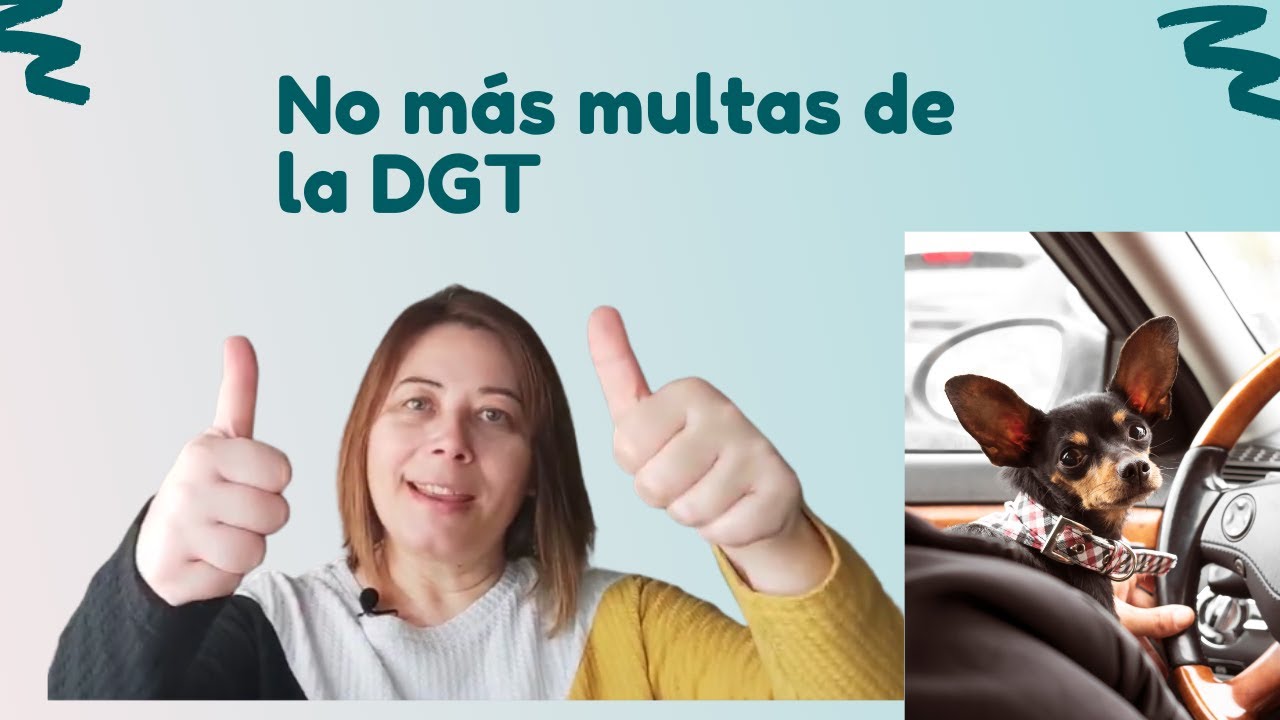 Video thumbnail for Cómo llevar a tu perro en coche (normas DGT)🐕