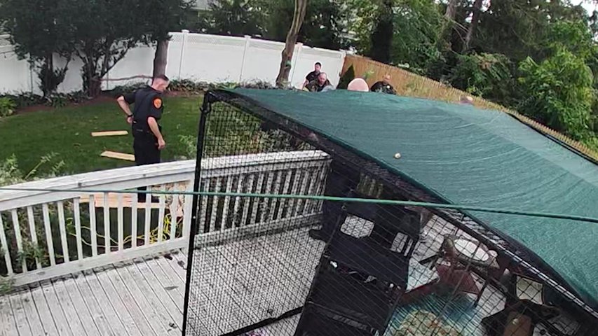 Video thumbnail for Woman rescued after falling into 8-foot hole in Bohemia backyard