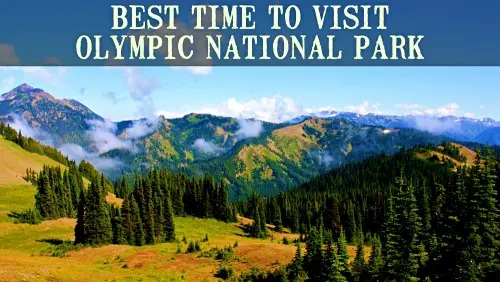 'Video thumbnail for When is The Best Time To Visit Olympic National Park?'