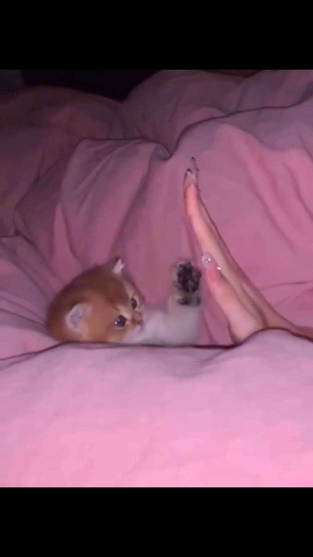 Video thumbnail for Gh49Qo