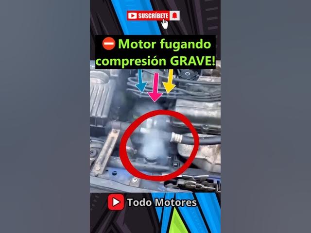 Video thumbnail for ¿humo del radiador? ¡Cuidado con tu motor! FALLA GRAVE!