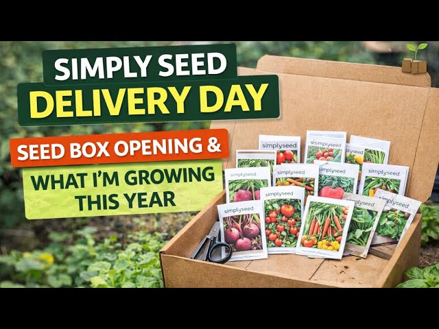 Video thumbnail for How to Choose Vegetable Seeds for the Growing Season
