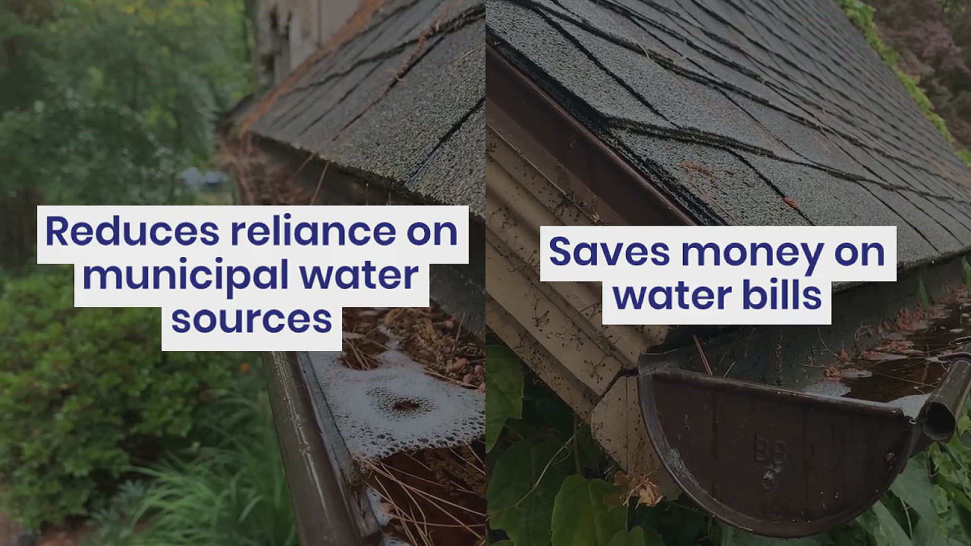 'Video thumbnail for How to Harvest Rainwater for Gardening'