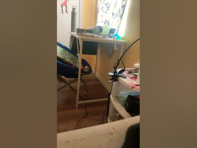 Video thumbnail for June 17, 2025