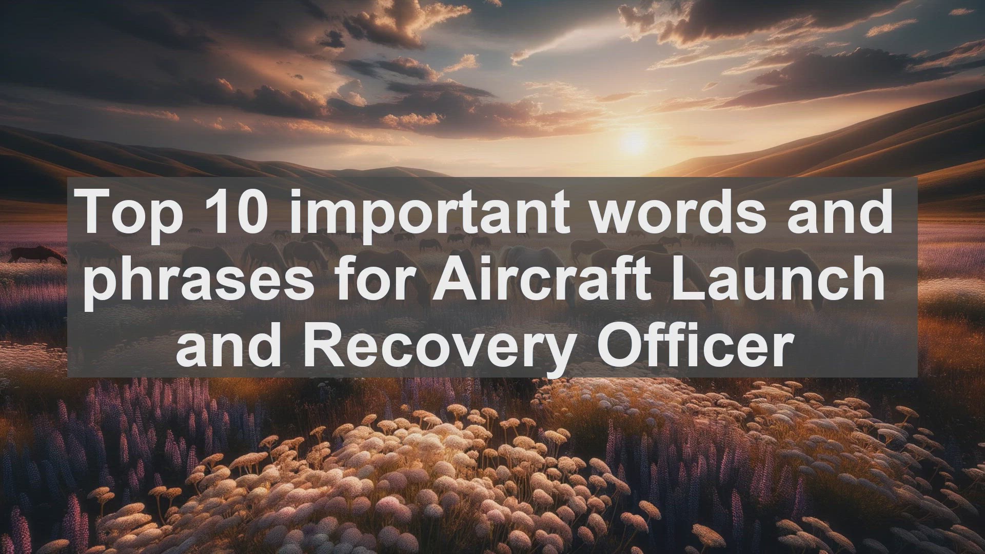 'Video thumbnail for Top 10 important words and phrases for Aircraft Launch and Recovery Officer'