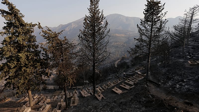 Video thumbnail for One person reportedly killed as Algeria battles wildfires