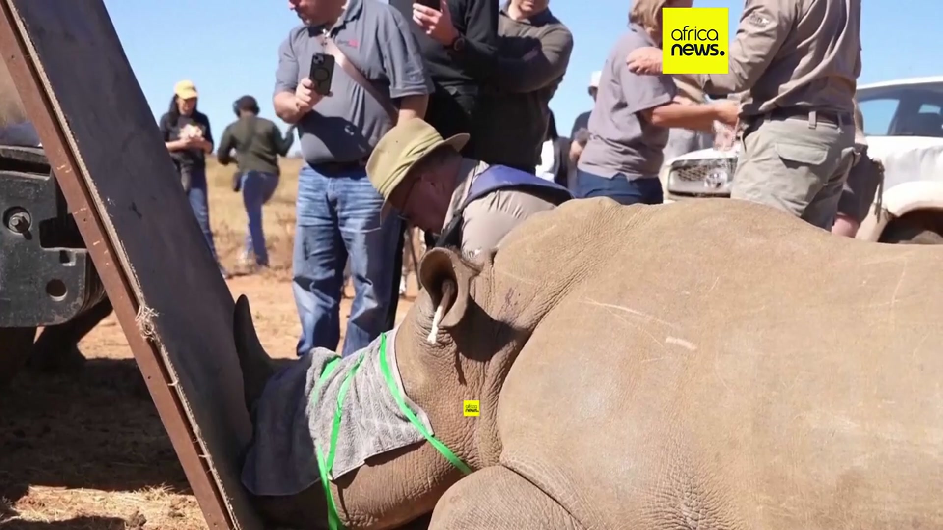 'Video thumbnail for South Africa injects Rhino horns with radioactive material to combat poaching'