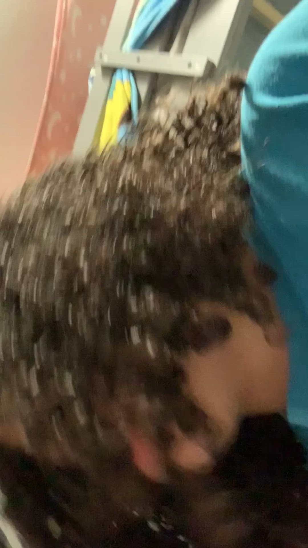 Video thumbnail for First vid❤️