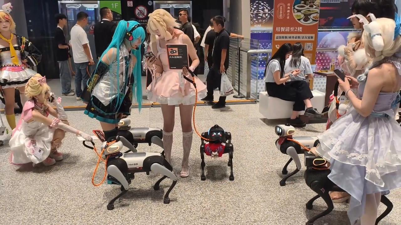Video thumbnail for China: Vbot Super BoBo Robot Dog.