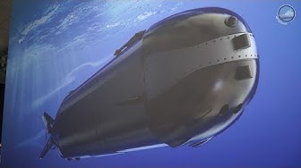 'Video thumbnail for UDT 2017 Day 2: Saab Torpedo 47, Rheinmetall Simulator, Safran Submarine Masts'