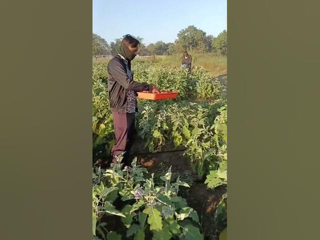 Video thumbnail for December 11, 2025