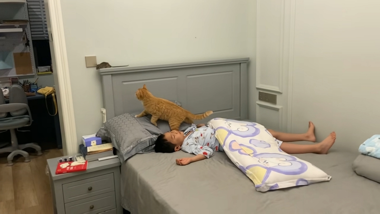 Video thumbnail for Epic Cat vs. Mouse Chase Inside a Zhejiang Bedroom