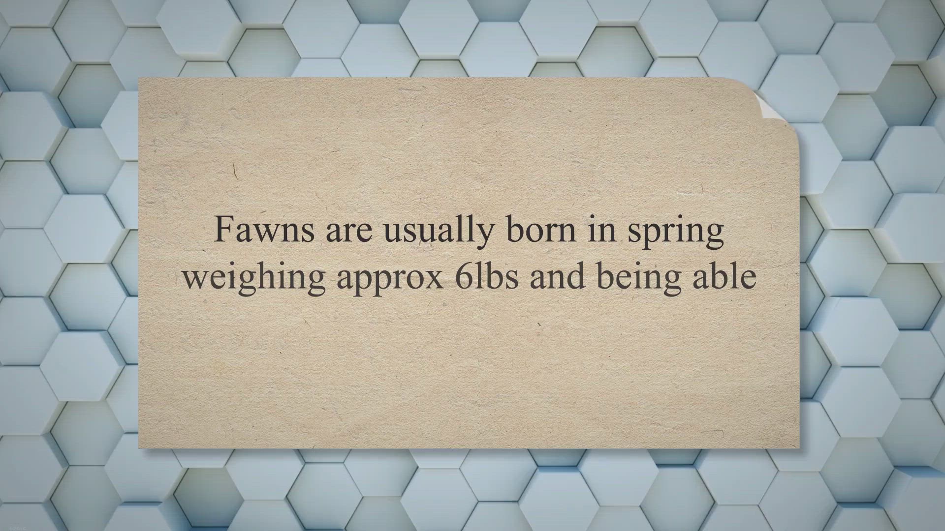 Video thumbnail for How Long Are Deer Pregnant for? | Deer