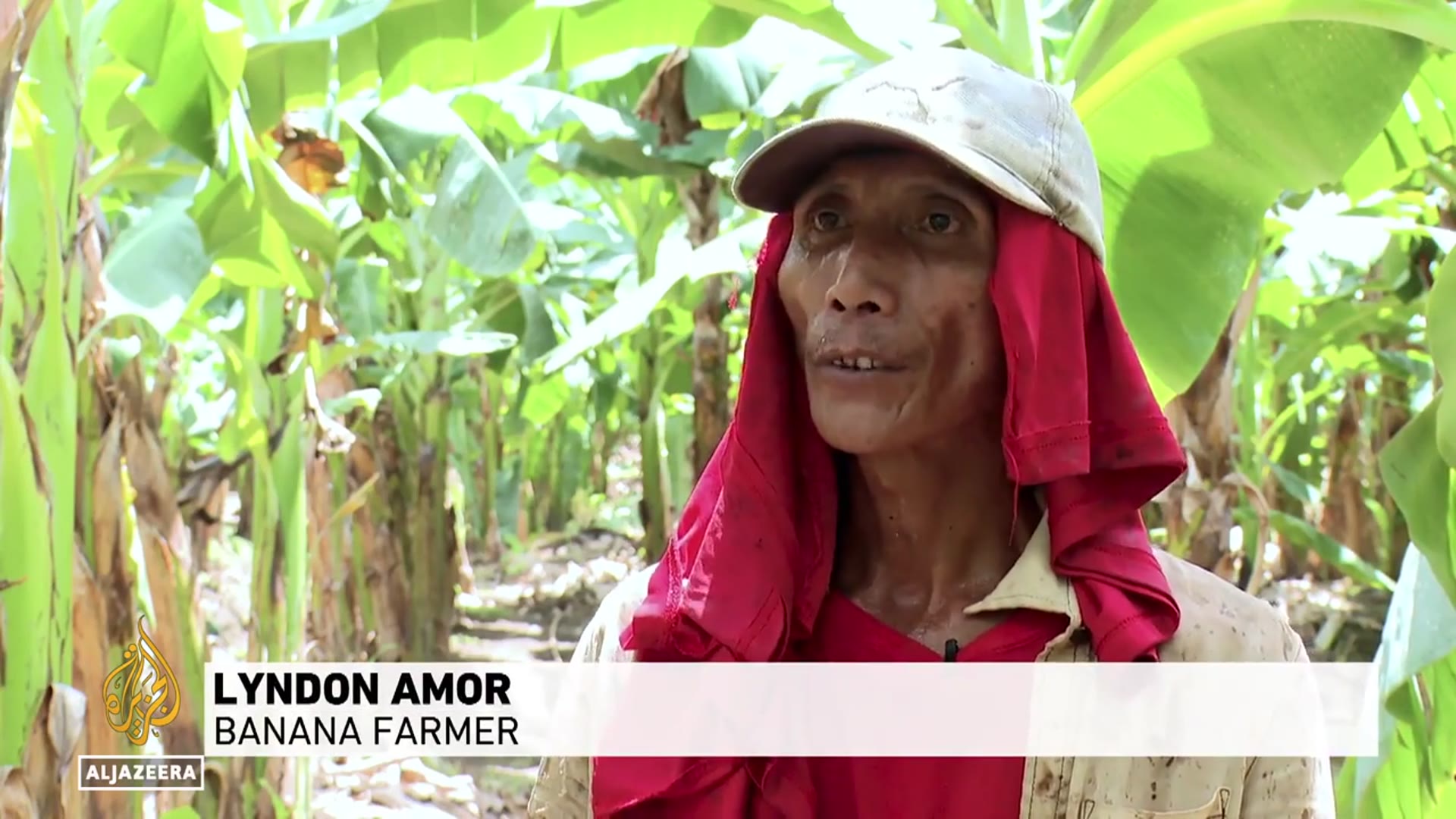 Video thumbnail for Philippine Banana Farmers Feel Economic Fallout of Iran Conflict