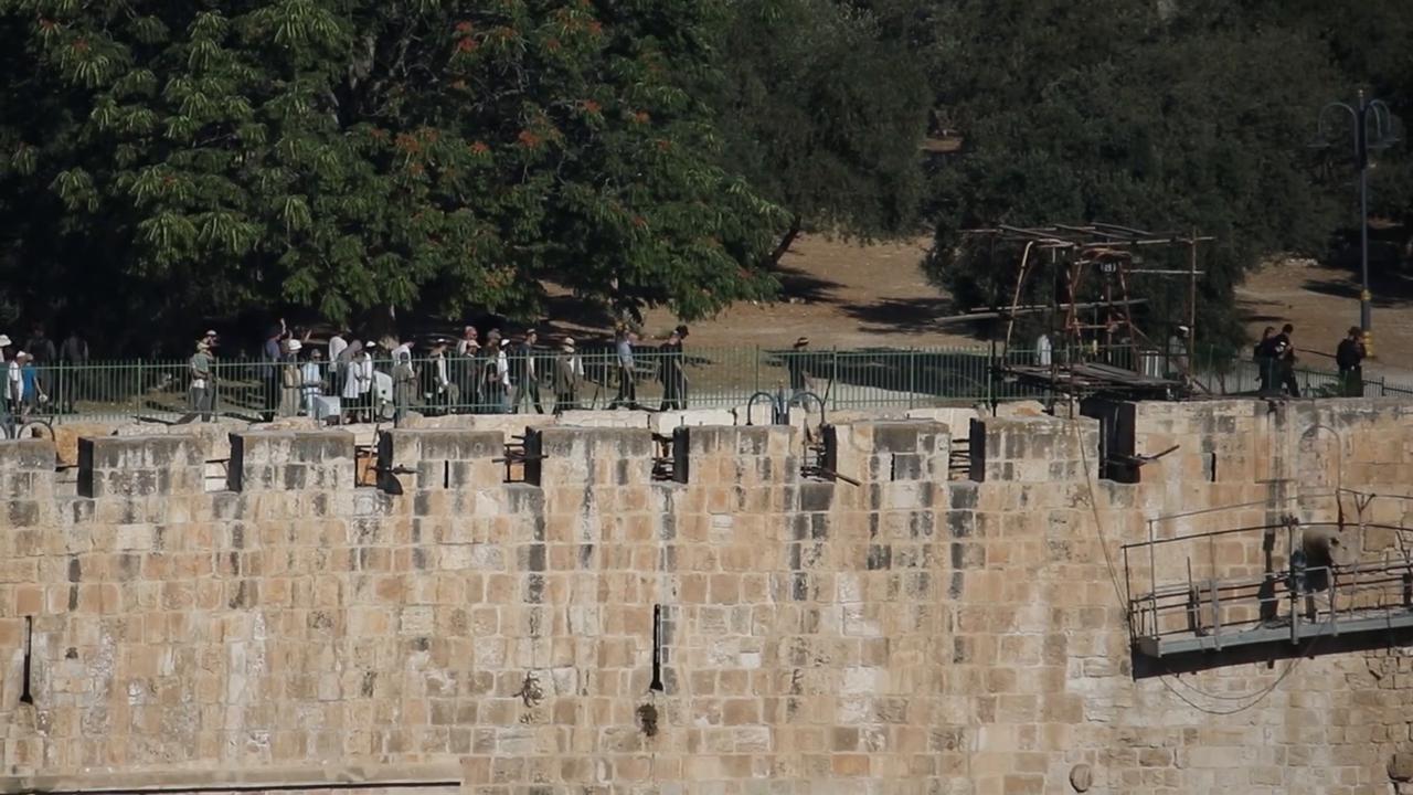 Video thumbnail for Around 1,300 Israeli occupiers storm Al-Aqsa Mosque compound in occupied East Jerusalem.