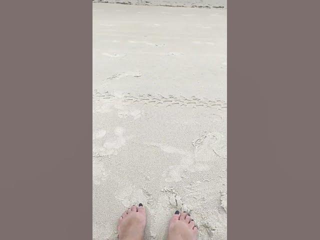 Video thumbnail for Terapia - #praia