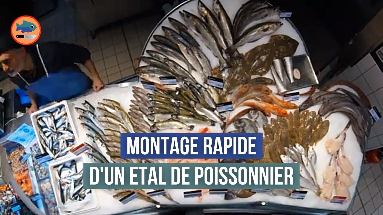 Video thumbnail for Comment monter un étal de poissonnier ? (Time lapse)