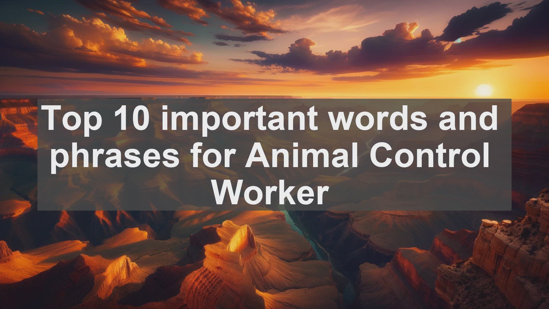 'Video thumbnail for Top 10 important words and phrases for Animal Control Worker'