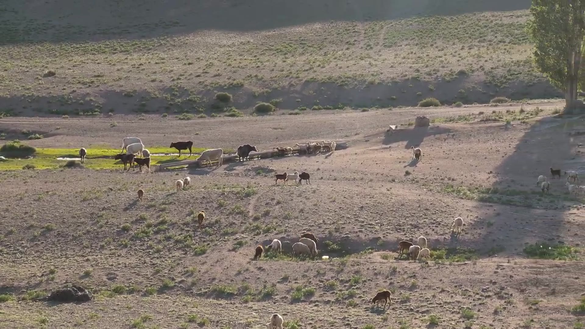 Video thumbnail for Making Grilled Cheese For a Grandma in Kazakhstan(720P 60FPS)