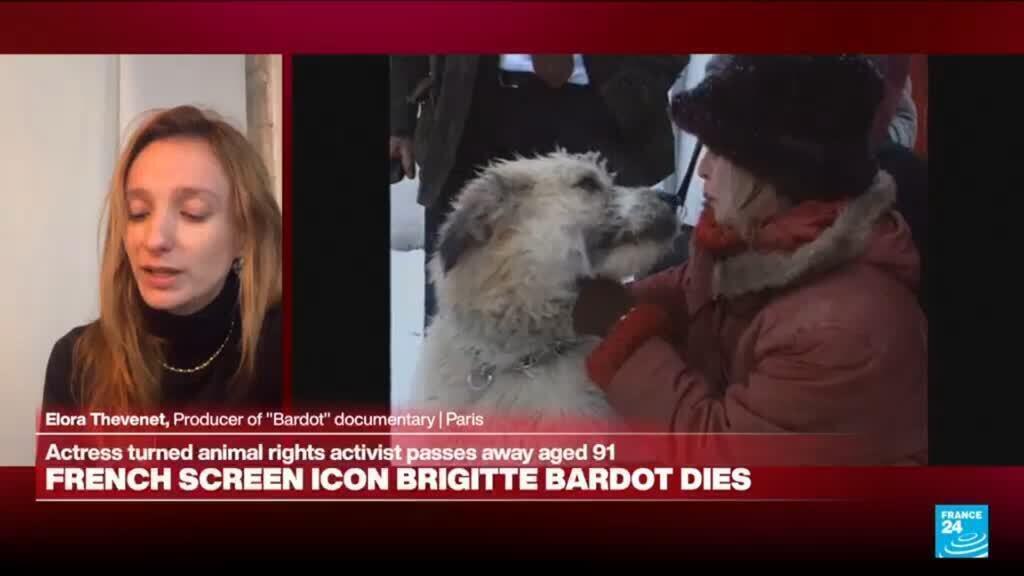 Video thumbnail for 'A lover of animals': French film icon Brigitte Bardot dies at 91